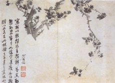 放大