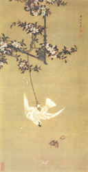 Ŵ