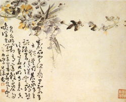 放大