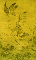 放大