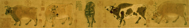 放大
