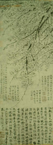 Ŵ