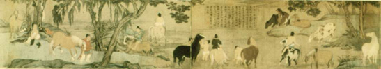 放大