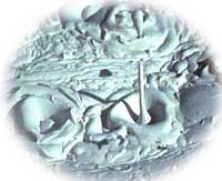 Ȫ